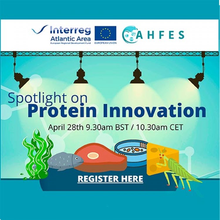 Webinar AHFES | Spotlight on Protein Innovation
