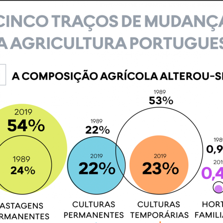 Cinco traços de mudança na agricultura portuguesa