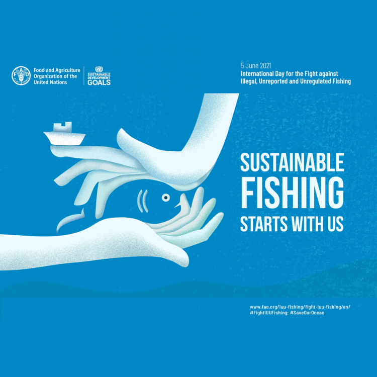 05.06.2022 | Dia Internacional da Luta contra a Pesca Ilegal, Não Declarada e Não Regulamentada