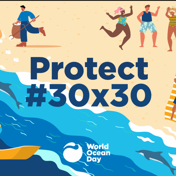08.06.2022 | Dia Mundial dos Oceanos