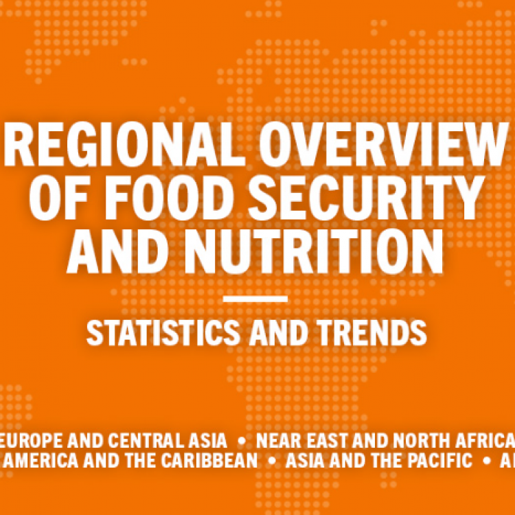 Fome e desnutrição: quão bem está a sua região?