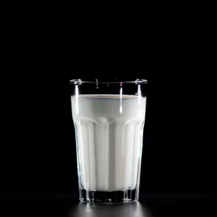8 dúvidas e factos sobre o leite