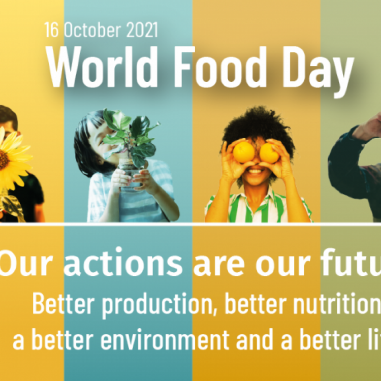 16.10.2021 | Dia Mundial da Alimentação