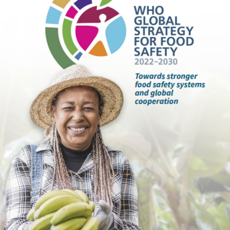 WHO | Global Strategy for Food Safety 2022 - 2030