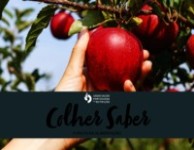 Colher Saber Colher Saber