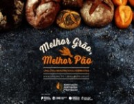 Melhor grão, Melhor pão: uma análise nutricional sobre o pão Melhor grão, Melhor pão: uma análise nutricional sobre o pão