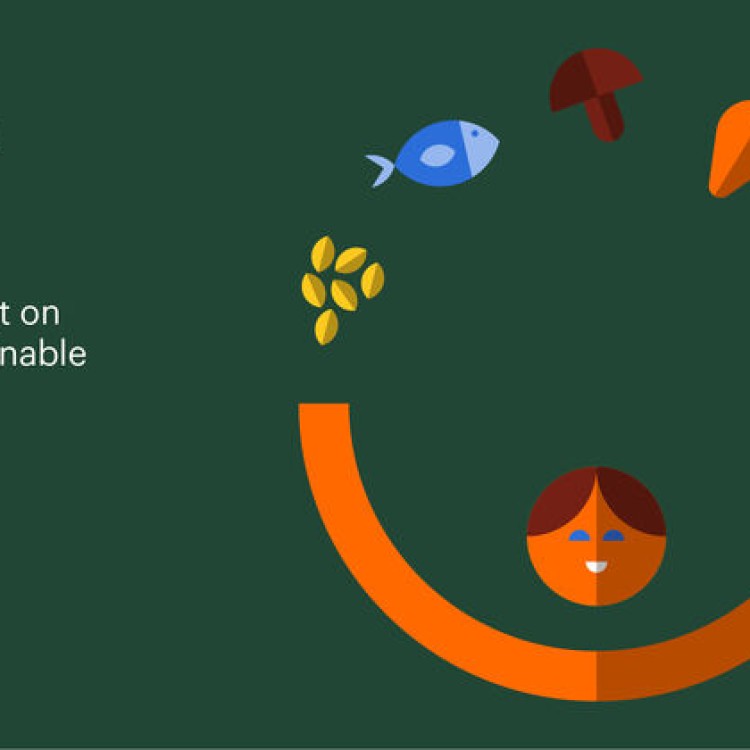 Grains of Truth 2: EAT - GlobeScan global consumer research on a sustainable food system