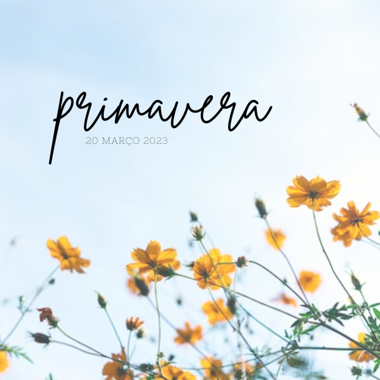 20.03.2023 | Primavera