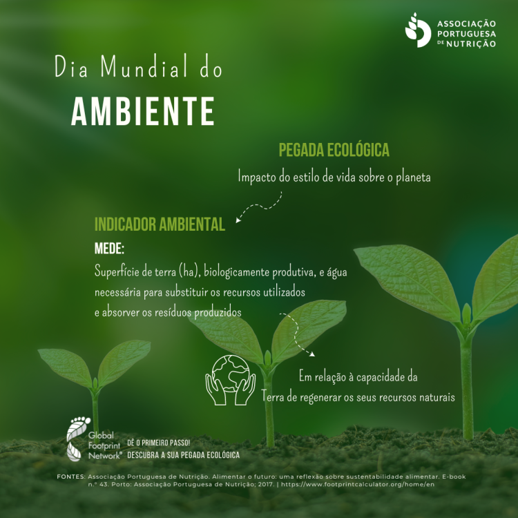 05.06.2023 | Dia Mundial do Ambiente