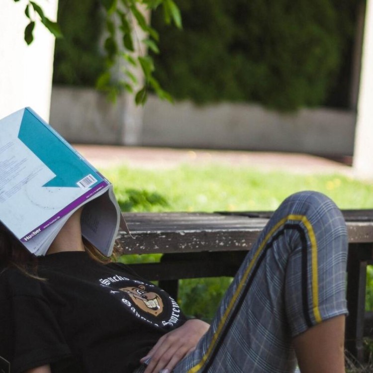 Falta de energia, alergias e dificuldade em adormecer? A primavera pode ter dedo nisso - mas é possível minimizar os efeitos