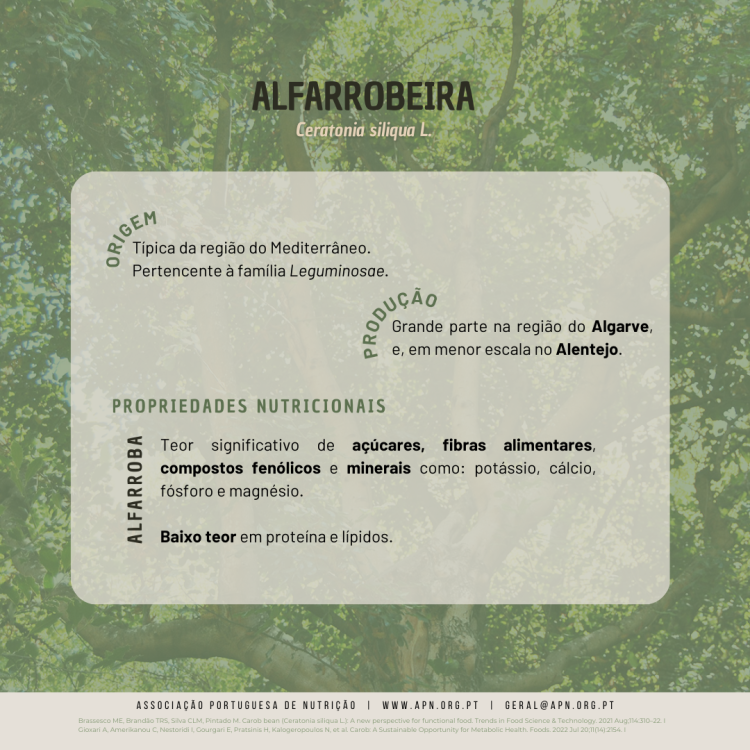 Dia Mundial da Árvore