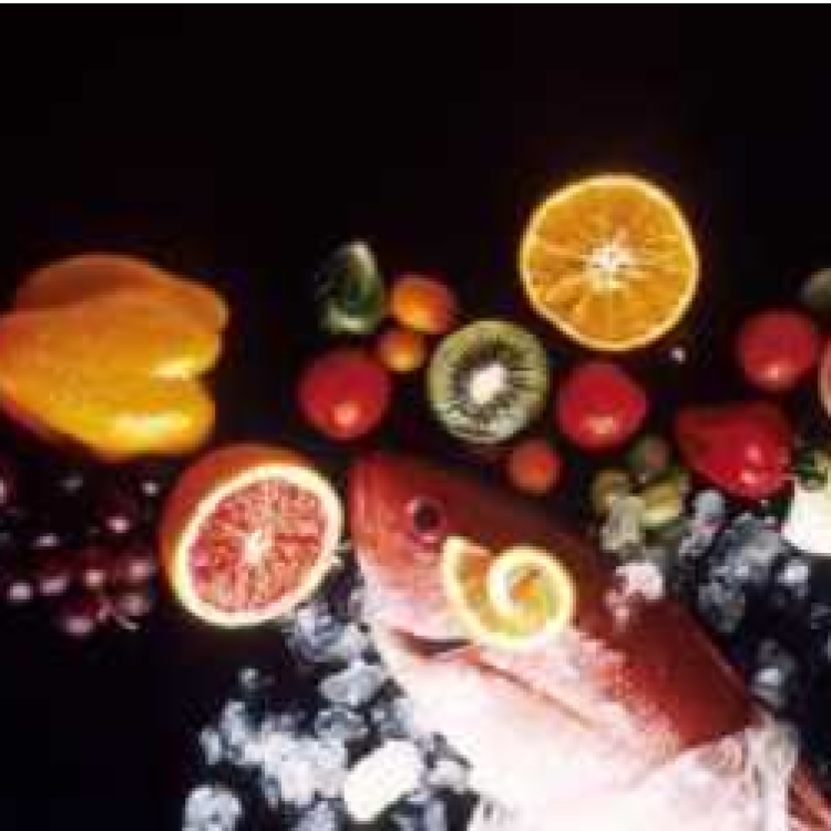 Novo projeto social vai apoiar famílias vulneráveis através da literacia alimentar