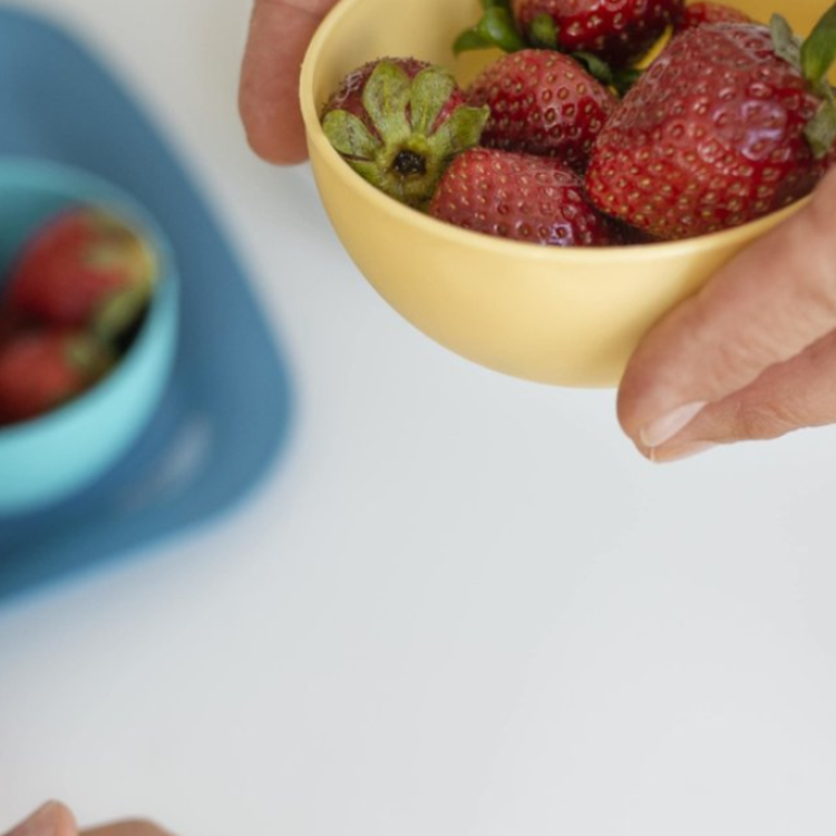 Missão Continente e APN vão apoiar famílias vulneráveis através da literacia alimentar