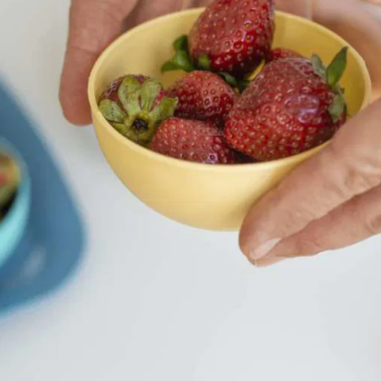 Missão Continente e APN vão apoiar famílias vulneráveis através da literacia alimentar