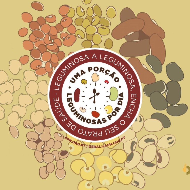 Lançamento | E-book