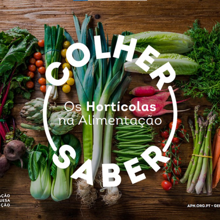 Lançamento | E-book