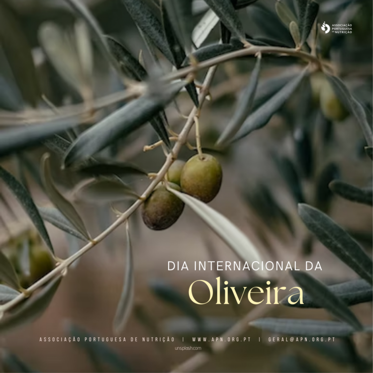 Dia Internacional da Oliveira (UNESCO)