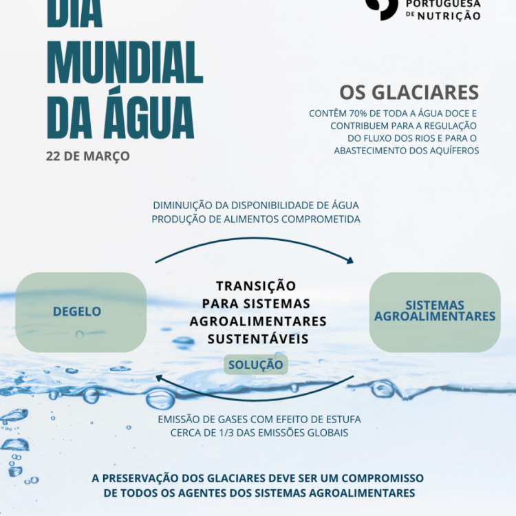 Infografia | Dia Mundial da Água