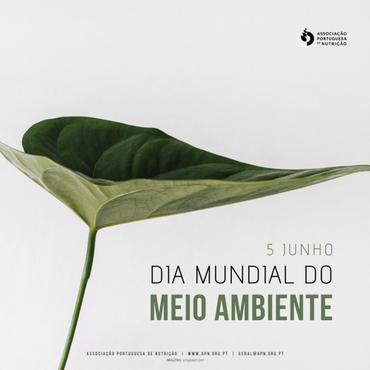 05.06.2020 | Dia Mundial do Meio Ambiente