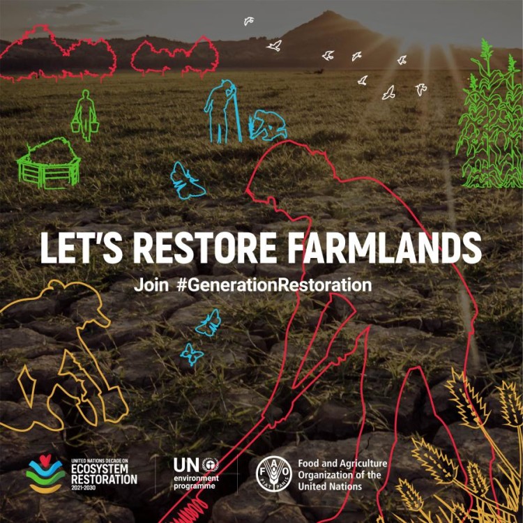 05.06.2021 | Dia Mundial do Ambiente