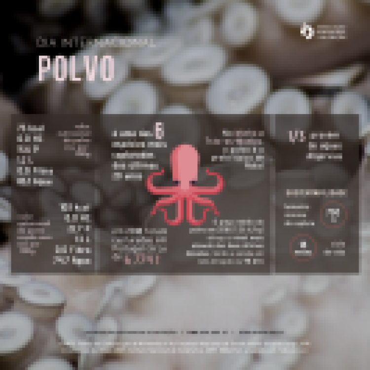 08.10.2020 | Dia Internacional do Polvo