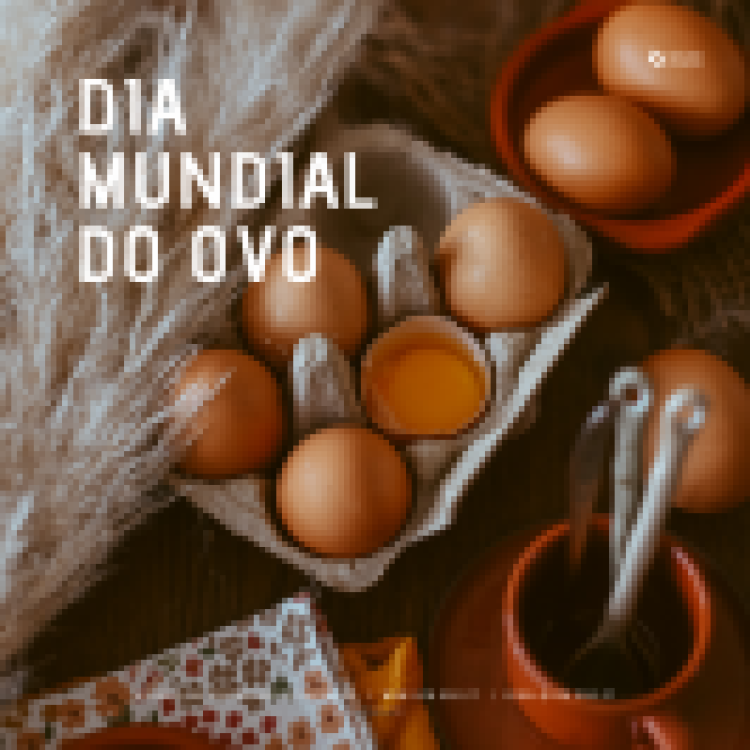 08.10.2021 | Dia Mundial do Ovo