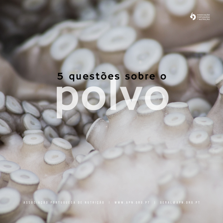 08.10.2022 | Dia Mundial do Polvo