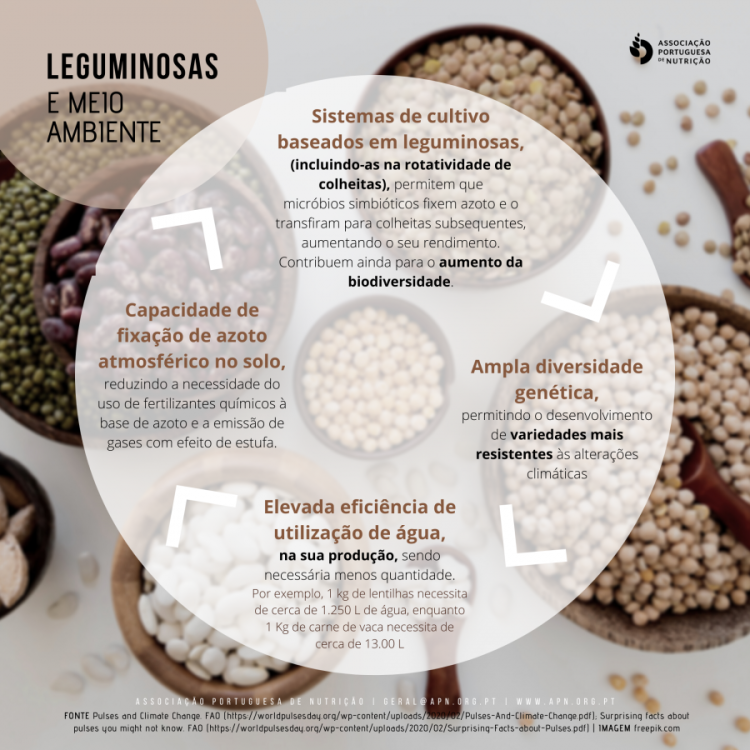 10.02.2021 | Dia Mundial das Leguminosas