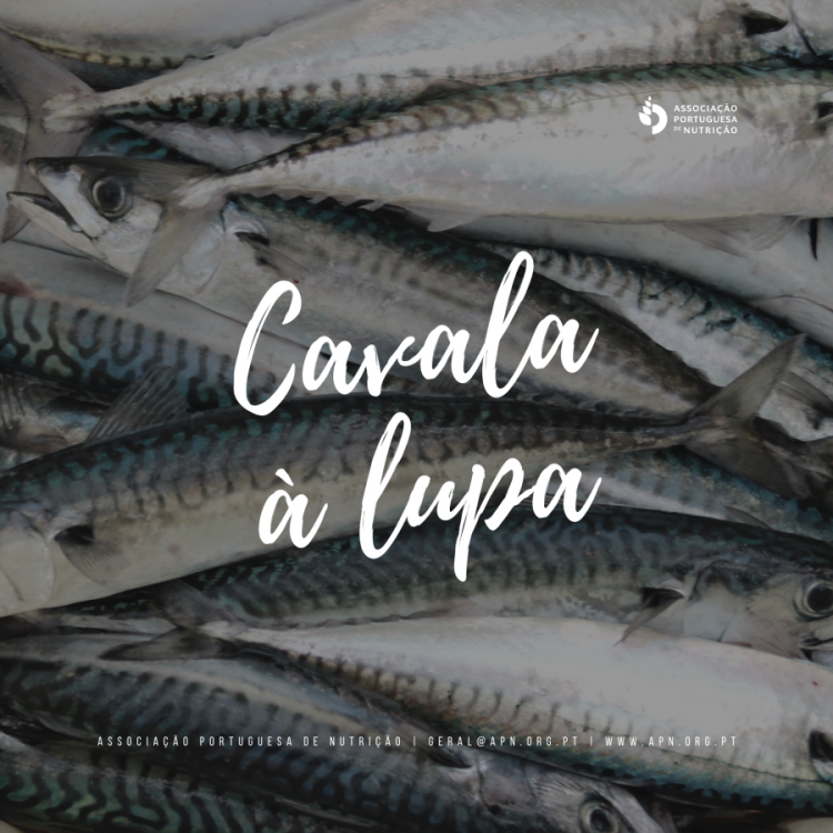 16.11.2020 | Dia Nacional do Mar