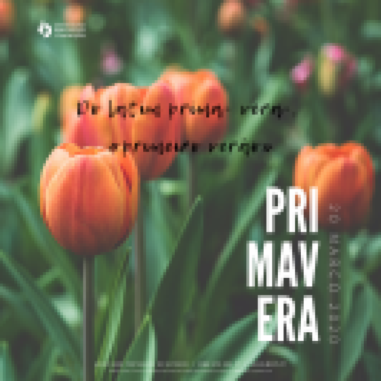 20.03.2020 | Primavera