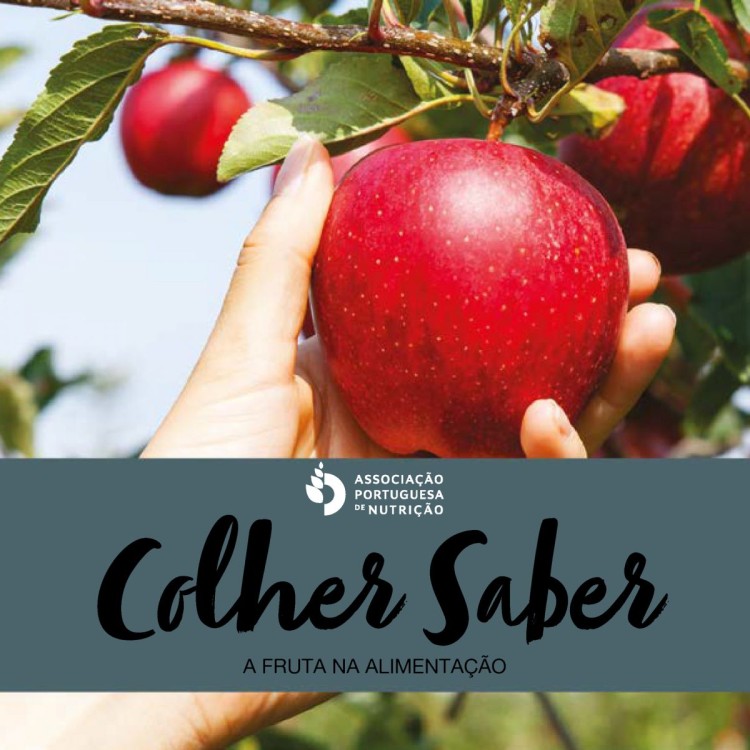 Lançamento | E-book