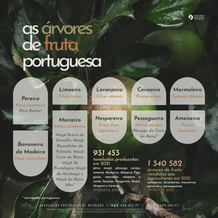 21.03.2022 | Dia Mundial da Árvore