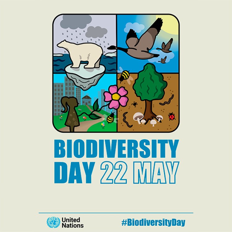 22.05.2022 | Dia Internacional da Biodiversidade