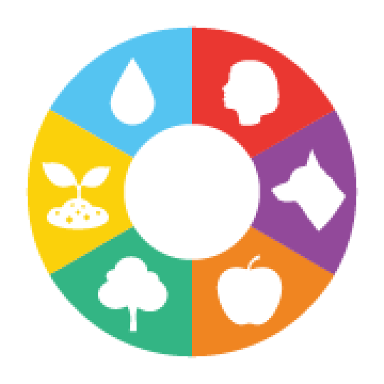 27.06.2022 | Dia Mundial do Microbioma