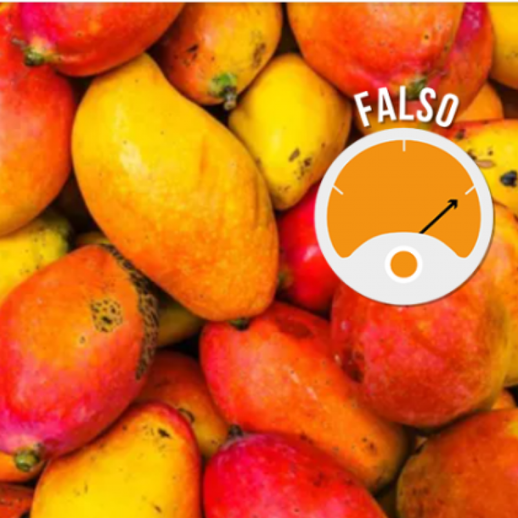 Comer frutas tropicais