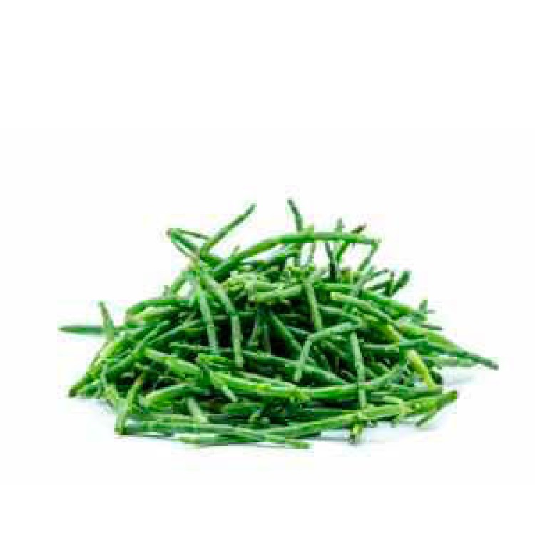 Salicórnia: o que saber e como utilizar?