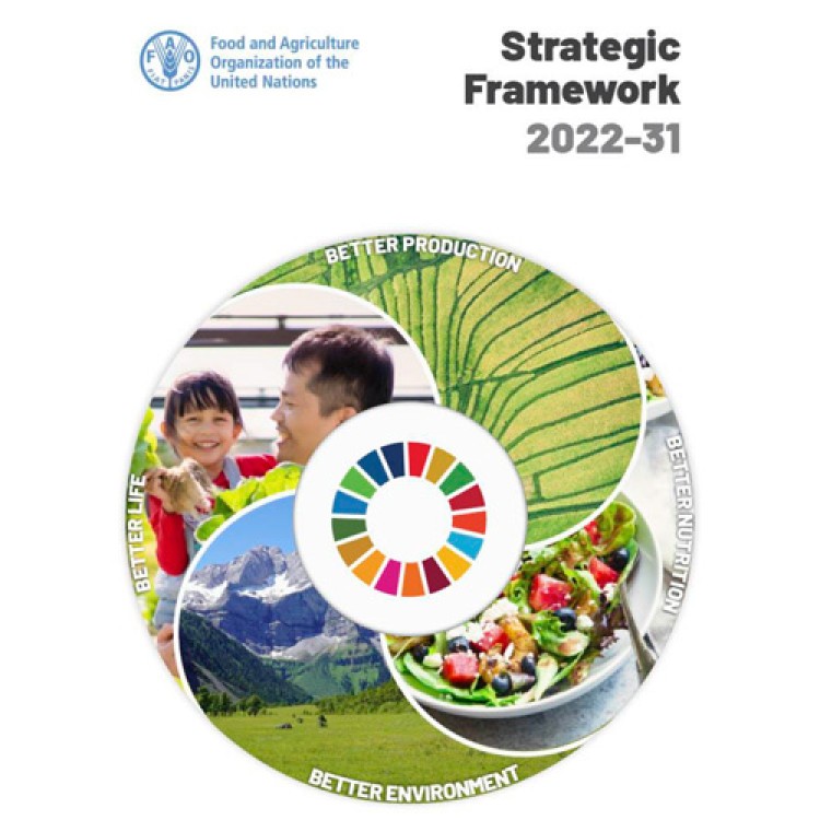 FAO | Strategic Framework 2022-31