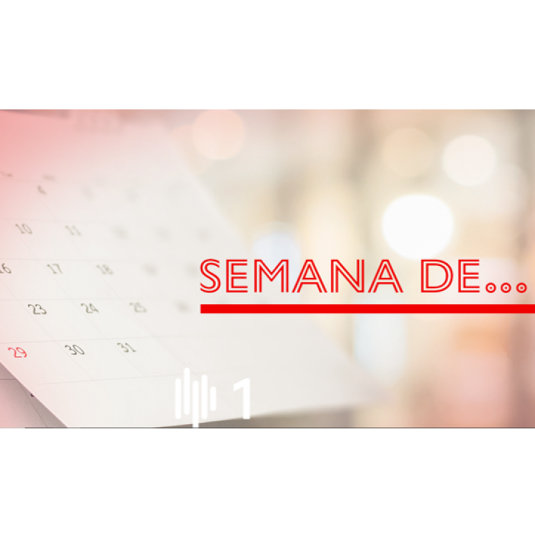 Semana de... Comida: como escolher bem o que comer entre tantas tendências?