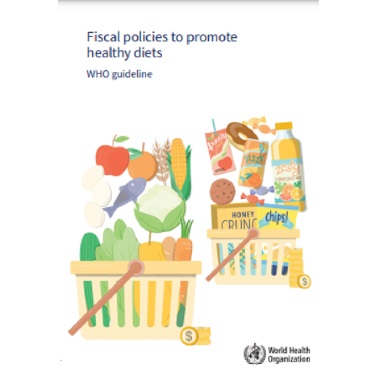 Fiscal policies to promote healthy diets: WHO guideline