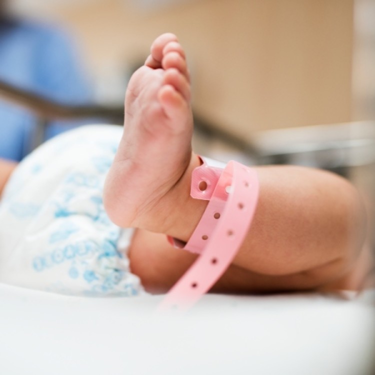 Leite materno. “É essencial a nutrição personalizada em bebés pré-termo”