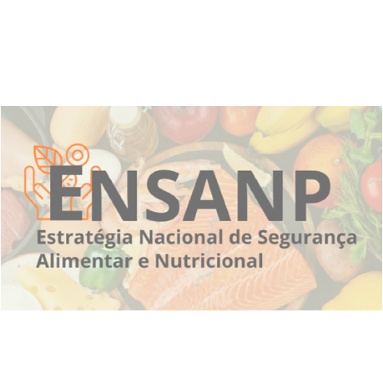 Agroindústria GPP já tem área online dedicada à Estratégia Nacional de Segurança Alimentar e Nutricional