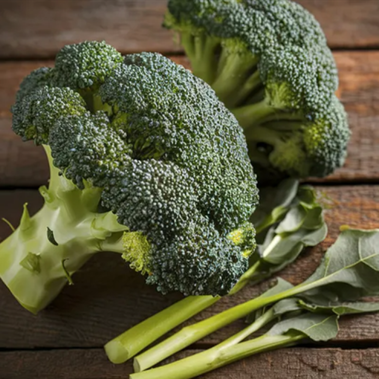 Conheça os benefícios dos brócolos (e ideias para quem não gosta muito)