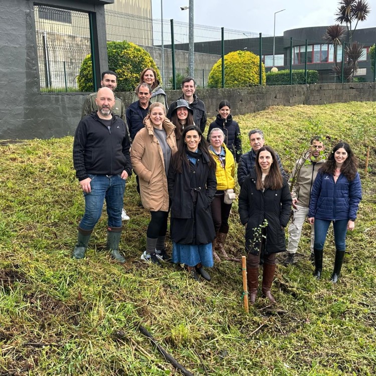 Plantação de Árvores | Iniciativa para mitigação do impacto ambiental do XXIV Congresso de Nutrição e Alimentação