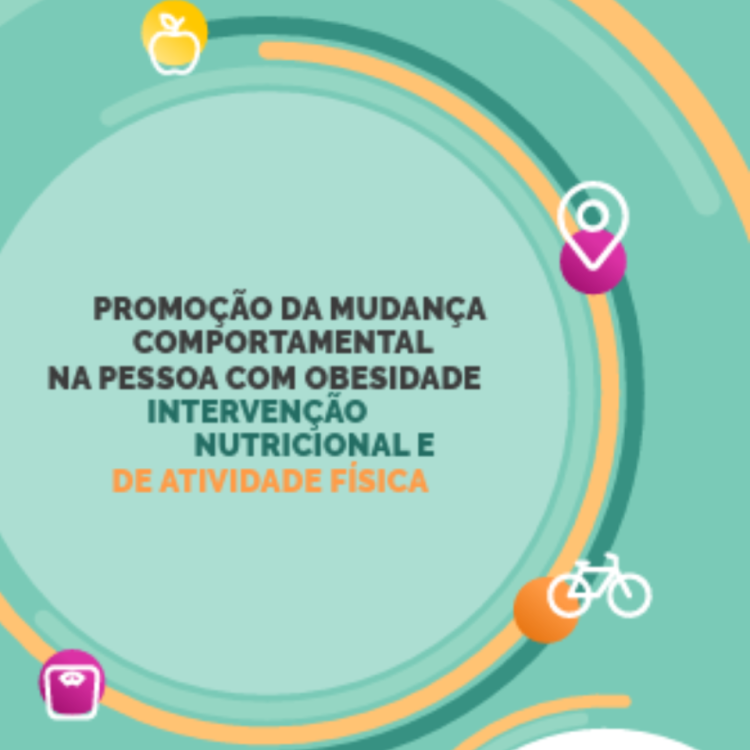 Lançamento DGS | Manual