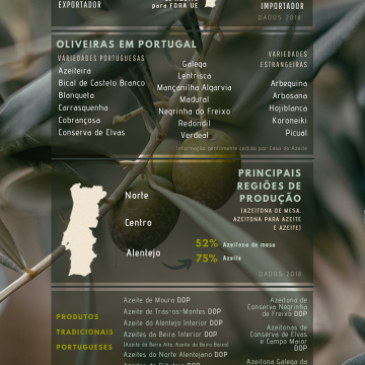 21.03.2021 | Dia Mundial da Árvore