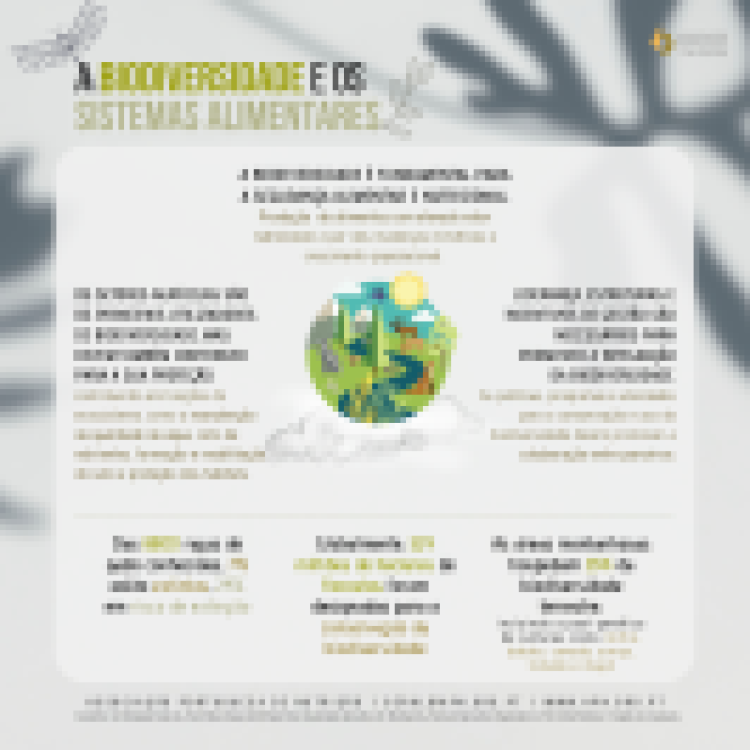 22.05.2021 | Dia Internacional da Biodiversidade