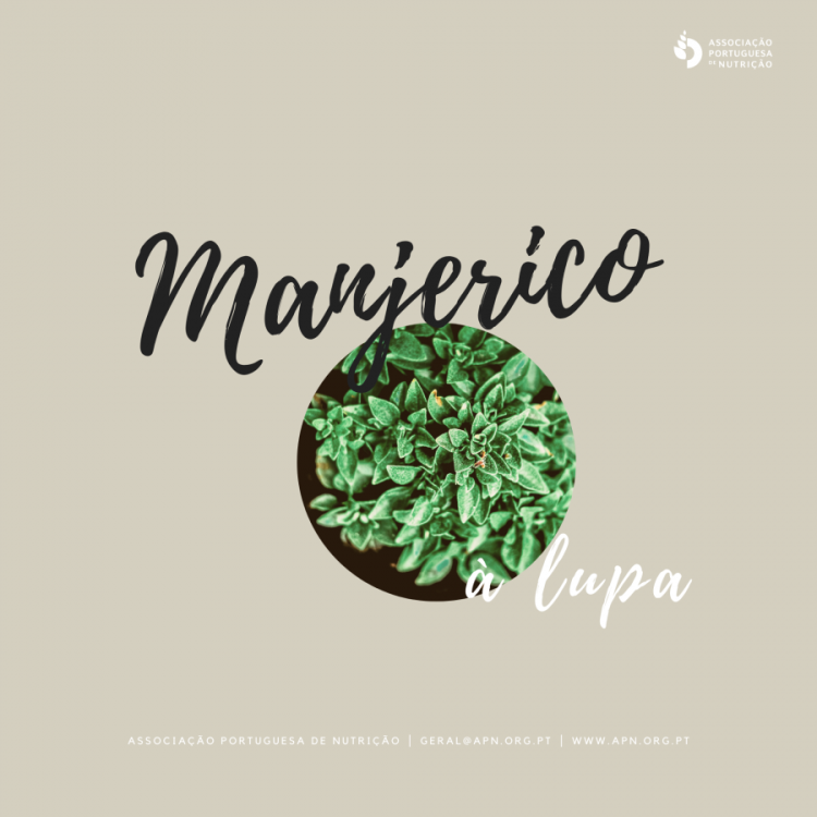 24.06.2020 | Dia de São João