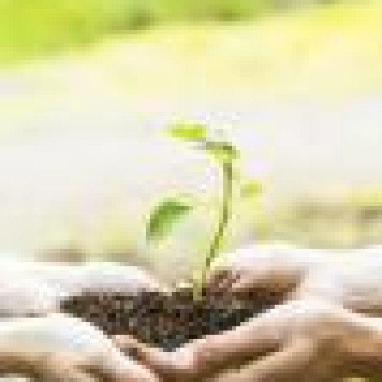 Estatuto da Pequena Agricultura Familiar