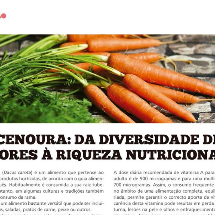 Cenoura: diversidade de cores à riqueza nutricional