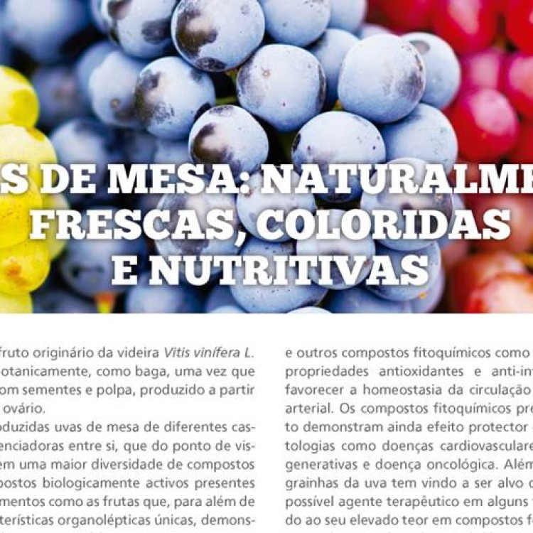 Uvas de mesa: naturalmente frescas, coloridas e nutritivas